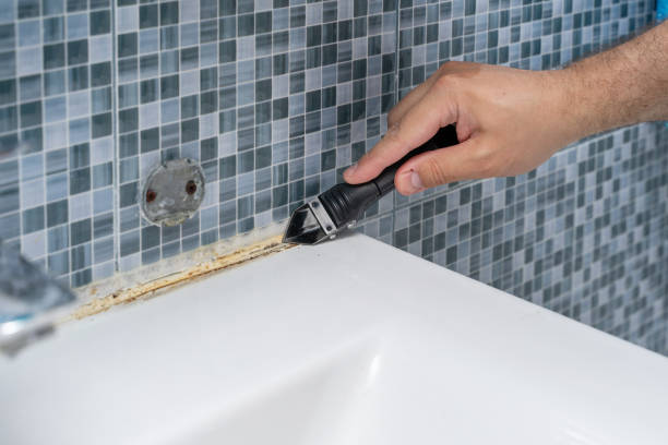 Best Mold Testing and Inspection Services in , NY